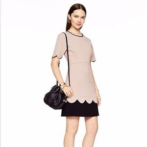 Kate Spade Sponge Scallop dress